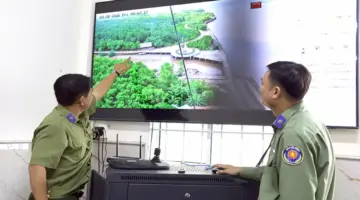 التحول الجوهري من التفكير الأخضر إلى العمل الأخضر